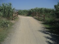 El camino se inicia junto al río Llobregat, apenas visible por una muralla de cañas